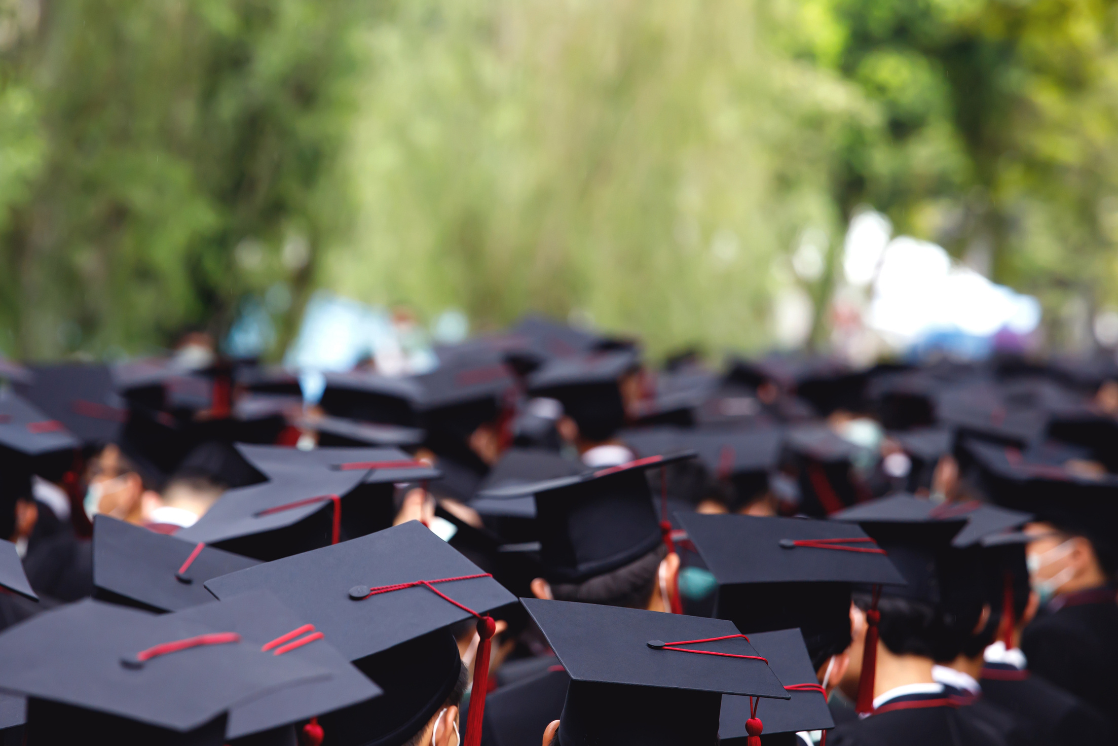 Crowd of Graduates 